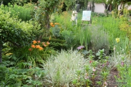 hemerocalles,sentier des cygnes,albizias,bouquet dahlias 054.JPG