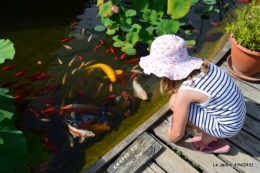 les jardins d'eau de Carsac 162.JPG