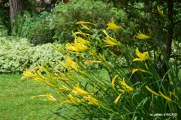 hémérocalles,cygnes,dahlias,feu d'artifice,jardin,jardinières 053.JPG