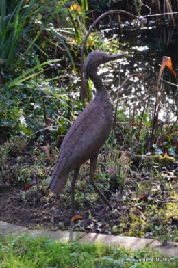 oiseaux,travaux,arbustes,les dernières fleurs 084.JPG