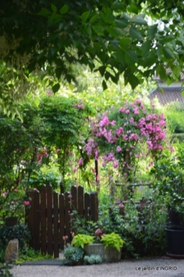 inondation,jardin,oeufs cygnes,chez Nathalie 049.JPG