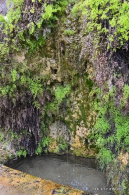 la Roque Gageac,Ines,jardin 076.JPG