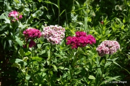 chez Fabien,tour du jardin,épouvantails 065.JPG