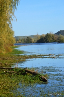 sentier des cygnes,automne novembre 095.jpg