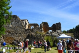 gastéropodes,les cygnes,marché,l'Abbaye Nouvelle,jerdin 084.JPG