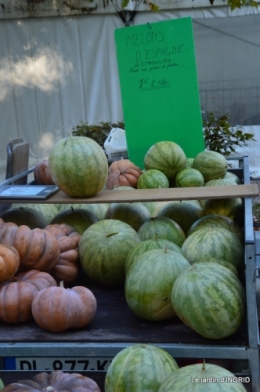 Issigeac,citrouilles ,rhus,automne,jardin 028.JPG