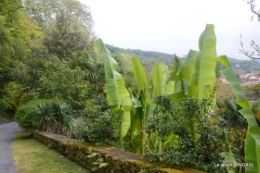 la Roque Gageac,Ines,jardin 027.JPG