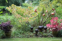 jardin en septembre,les cygnes 137.JPG