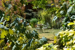 les filles,piscine,jardin,tipi 104.JPG