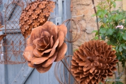 Colombier,Cadouin,jardin,roses,pluie 063.JPG