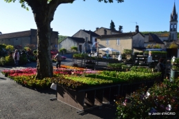 coquelicots,fête des fleurs Lalinde,fouleix,jardinage 051.JPG