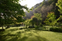 jardin,premières roses,colline,avant l'orage 117.JPG