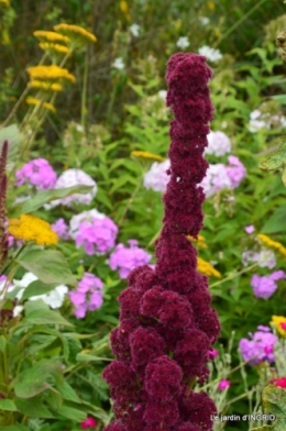 tour de France,jardinde Mme Peyrichou 008.JPG