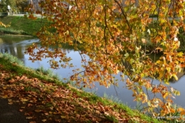 canal automne ,jardin,Ines 134.jpg