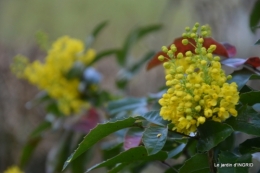 osier,bouquet,cabane,jardin 015.JPG