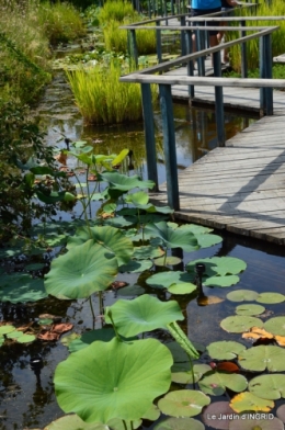 les jardins d'eau de Carsac 043.JPG