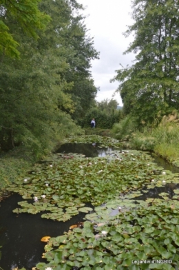 orage,puces,bouquet,Anniv.Ines,Brantome,Jardins d'eau 258.JPG