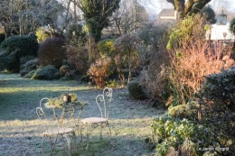 canal givre jardin 072.JPG