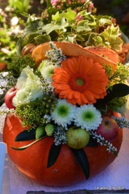 Issigeac,citrouilles ,rhus,automne,jardin 032.JPG