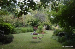 jardin juillet 015.JPG