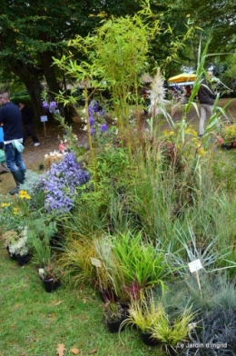 jardin,St Avit Seigneur brocante,Neuvic fête des plantes 084.JPG