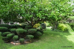 potager,chenille,pour le 18 juin,tour du jardin 075.JPG