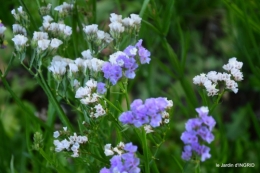 Fleurettes,Dordogne,jardin 177.JPG