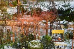 Neige en dordogne,jardin 176.JPG