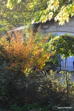 Jardin à l'automne 131.JPG