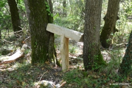 manthe religieuse,Lalinde marché,Land art au Colombier 109.JPG