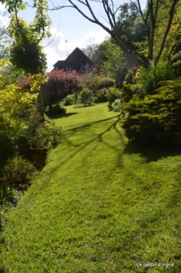 jardin avril et mai, 121.JPG