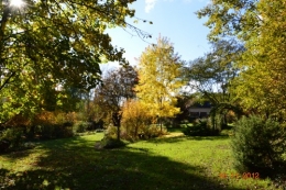 automne