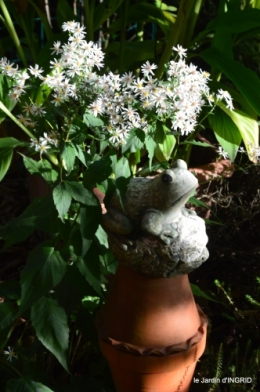 jardin en septembre,les cygnes 017.JPG