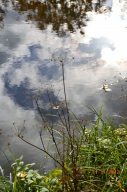 le canal,le banc