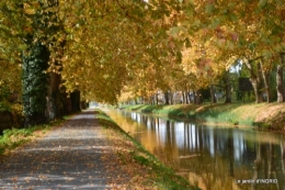 canal automne ,jardin,Ines 086.JPG