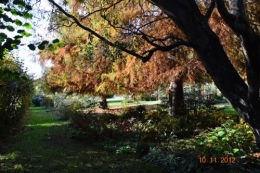 automne