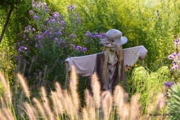 jardin en septembre,les cygnes 035.JPG