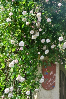 DSC_0575.JPG