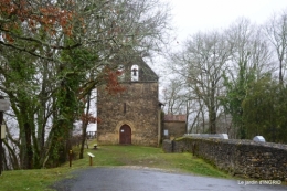 bulbes,perce neige,narcisse,pluie,hélébore,chapelle 148.jpg