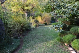 jardin octobre 064.JPG