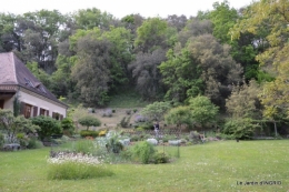 jardin,premières roses,colline,avant l'orage 035.JPG