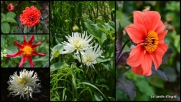 2014-06-20 jardin,chez Bernadette,libellules,bouquets de mariée.jpg