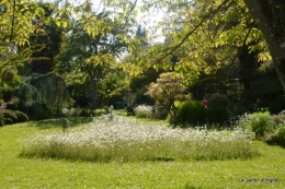 mai au jardin,les filles 089.JPG