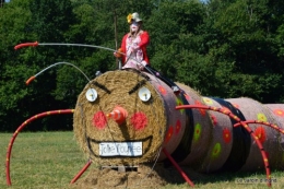 jardin,butineurs,Meyrals,tableau mongolfière 147.JPG