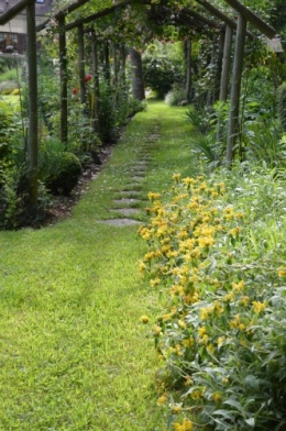 tour du jardin en juin 123.JPG