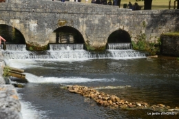 orage,puces,bouquet,Anniv.Ines,Brantome,Jardins d'eau 172.JPG