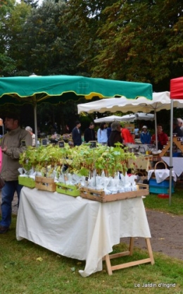 jardin,St Avit Seigneur brocante,Neuvic fête des plantes 078.JPG