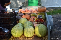 Issygeac citrouilles,canal,coucher de soleil,automne 003.JPG