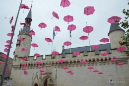 la rochelle,le chateau de la roche courbon; 152.jpg