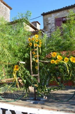 tournesols,podium,Lucas,jardin,Calès 043.JPG